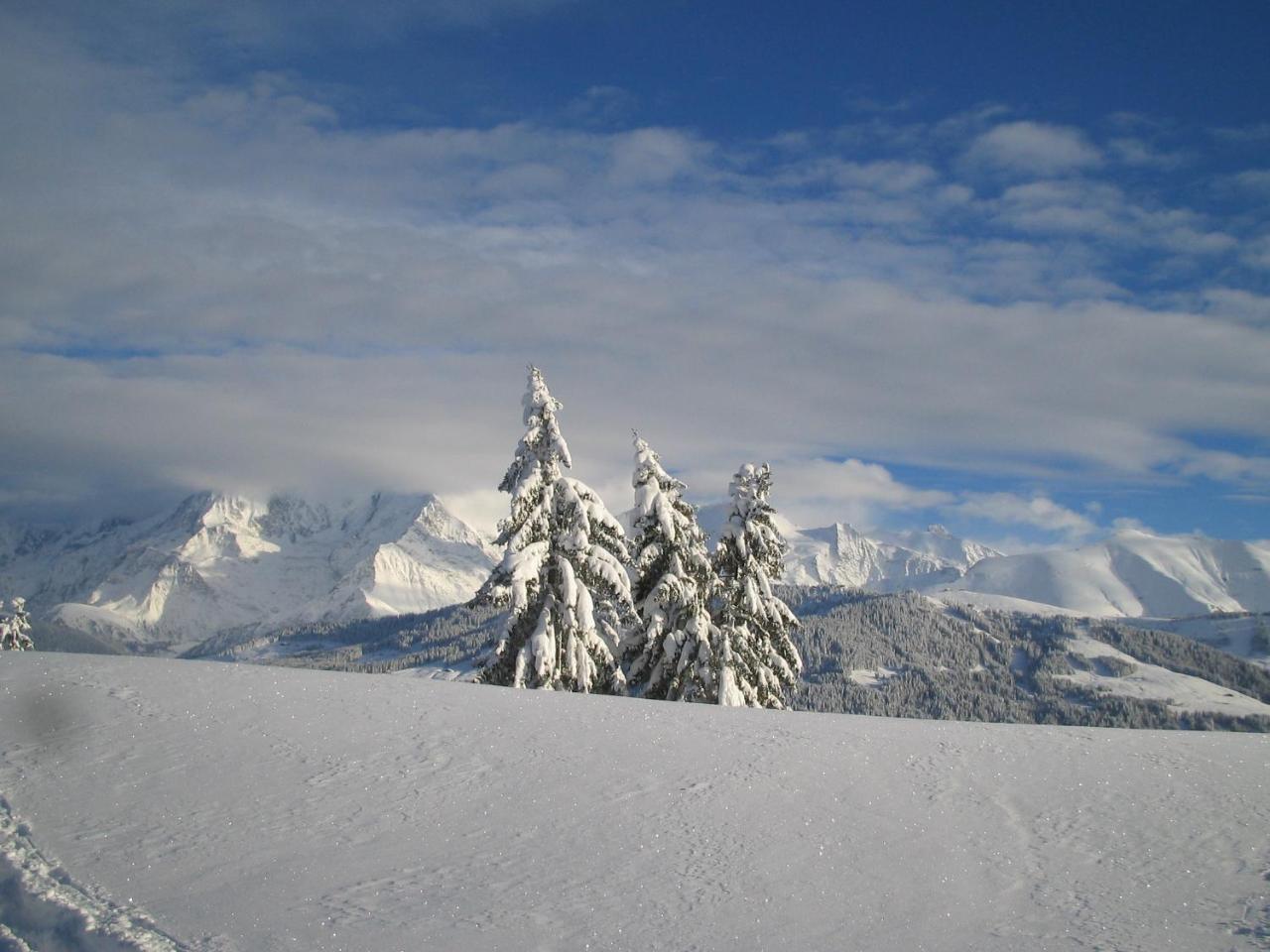 Alp-Hotel Megève Kültér fotó
